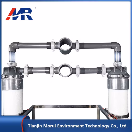 40tph UF Équipement de traitement de l'eau Purification de l'eau Système d'eau ultra pure pour l'usine de concentré de jus