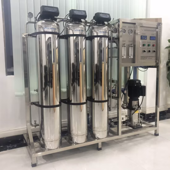 Prix ​​du système d'osmose inverse de machines de traitement de l'eau 500lph Ss avec adoucisseur d'eau