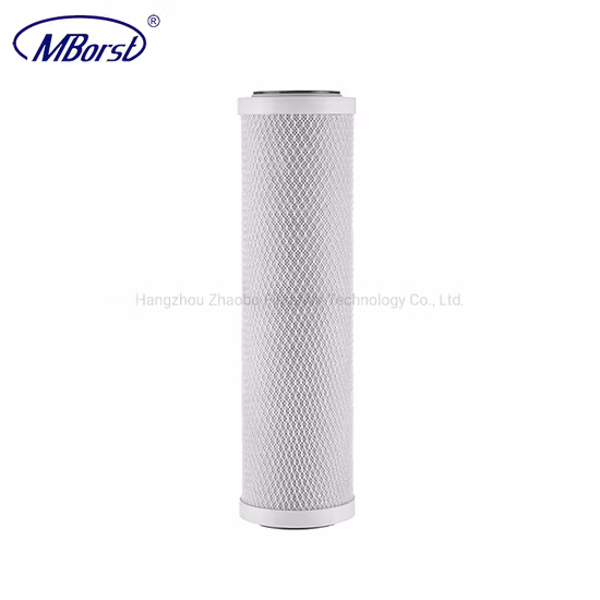 Fabricant OEM/ODM Cartouche filtrante à bloc de charbon actif avec coque de noix de coco 10