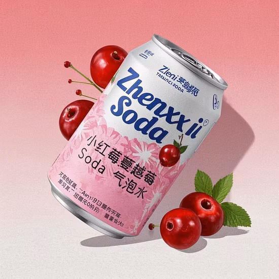 Boisson d'embouteillage de dessalement d'eau de mer faisant l'eau de prétraitement purifier avec le système d'eau d'osmose inverse de traitement de l'eau de RO